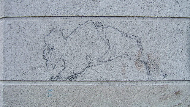 Bison. Bison.jpg