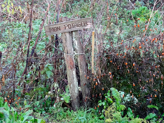 Potager. Potager.jpg