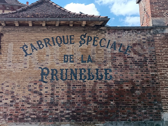 Prunelle. Prunelle.jpg