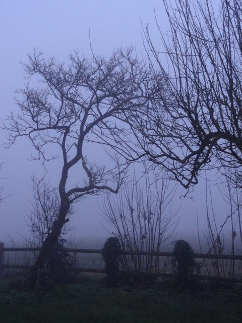 Brume. Brume.