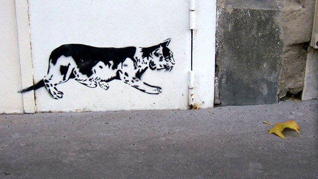 Chat Chat