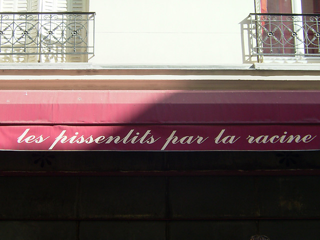 Pissenlits Pissenlits